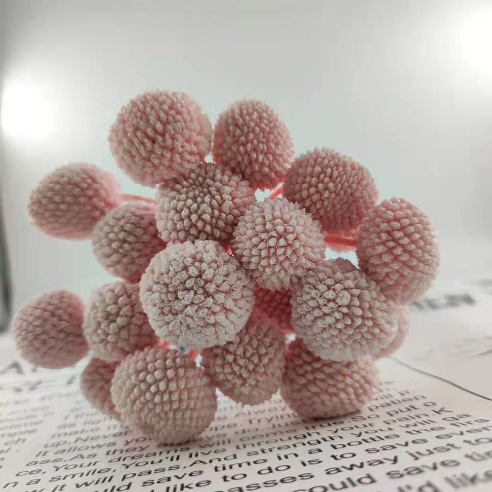 MC1221017-1-Preserved Flower