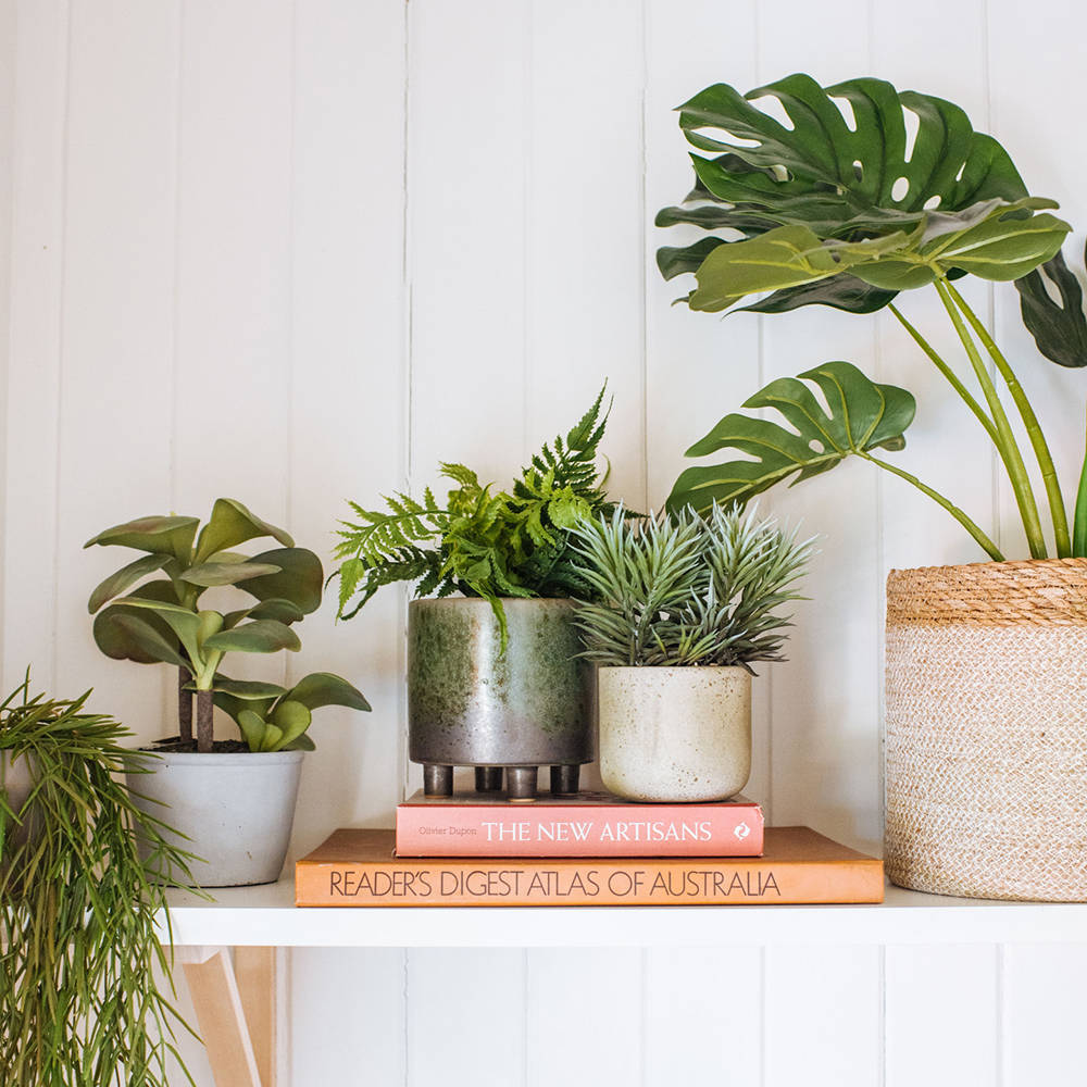   Greenery
