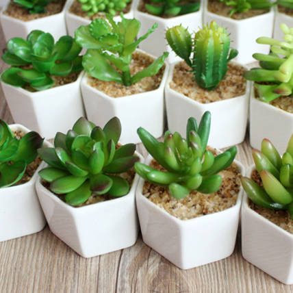 in hot summer, simulation plants produce a touch