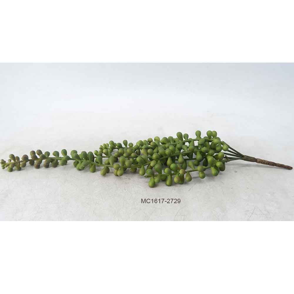 Beanleaves Stem