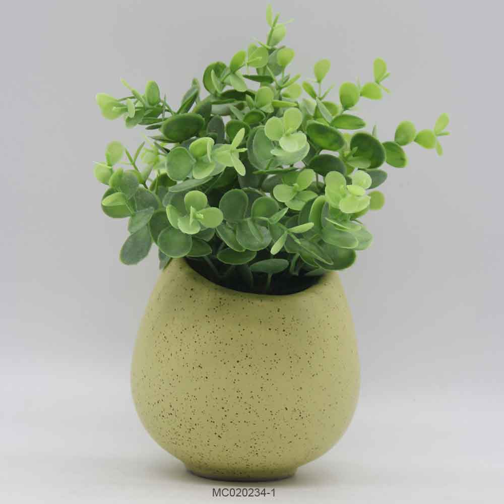 Eucalyptus with Pot A Series
