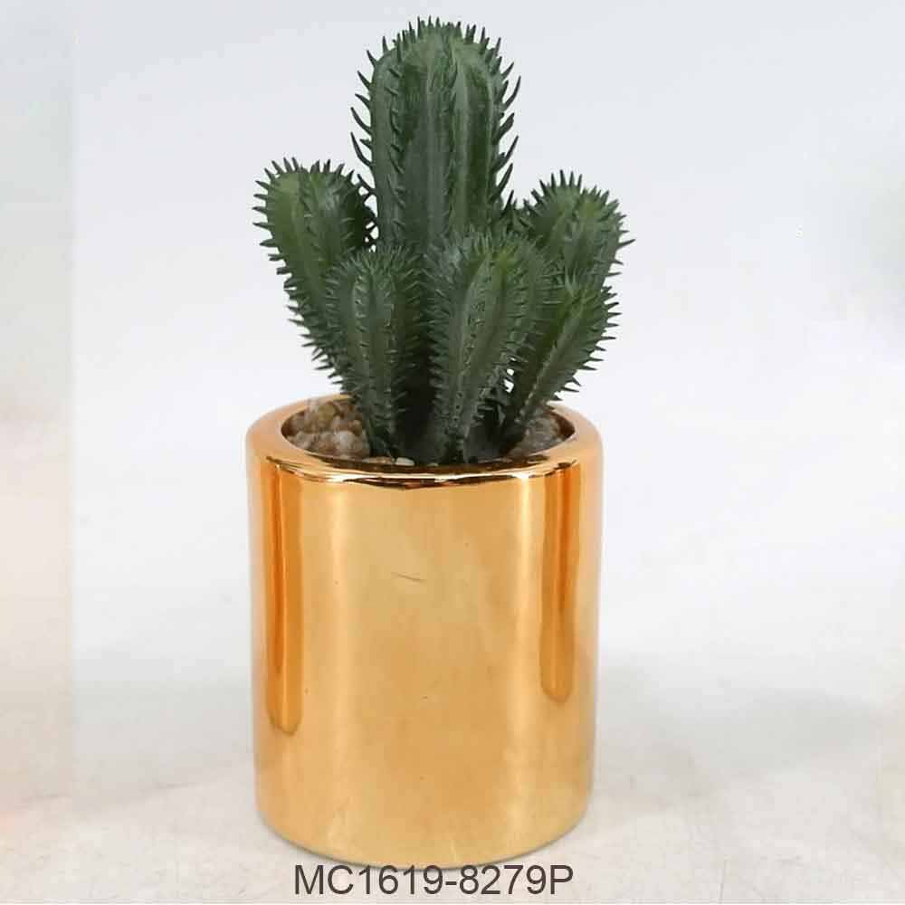 MC19-8277P Succlent Single
