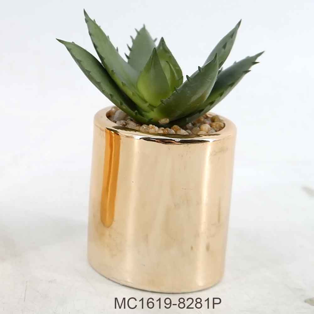MC19-8277P Succlent Single