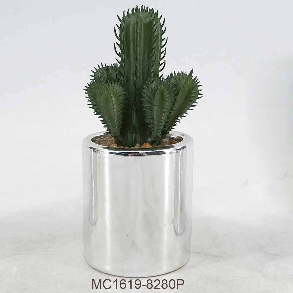 MC19-8277P Succlent Single