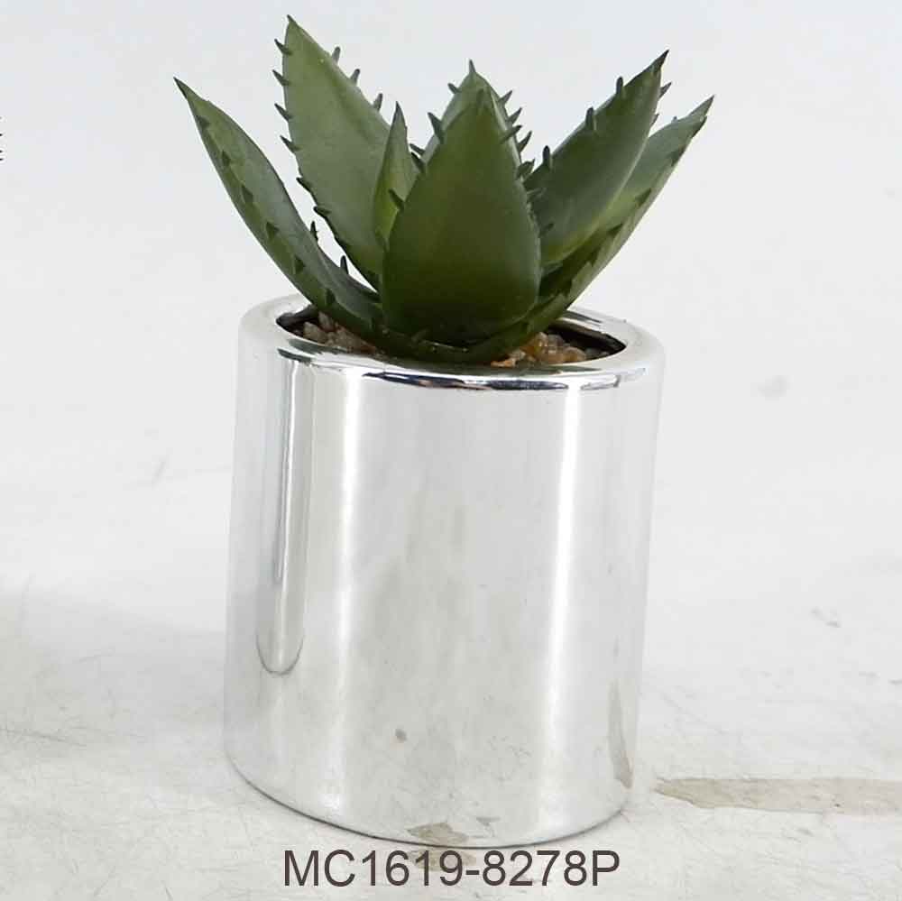 MC19-8277P Succlent Single
