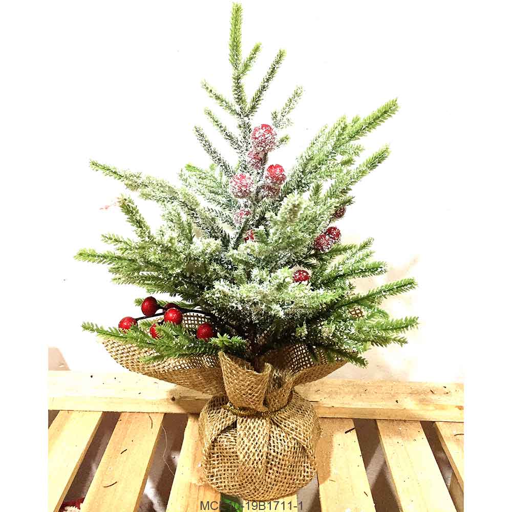 Christmas Tree B Series