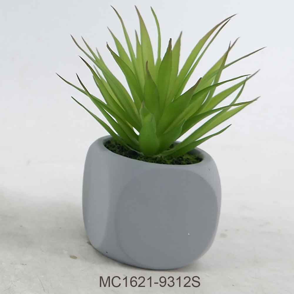 MC21-9310S Agave