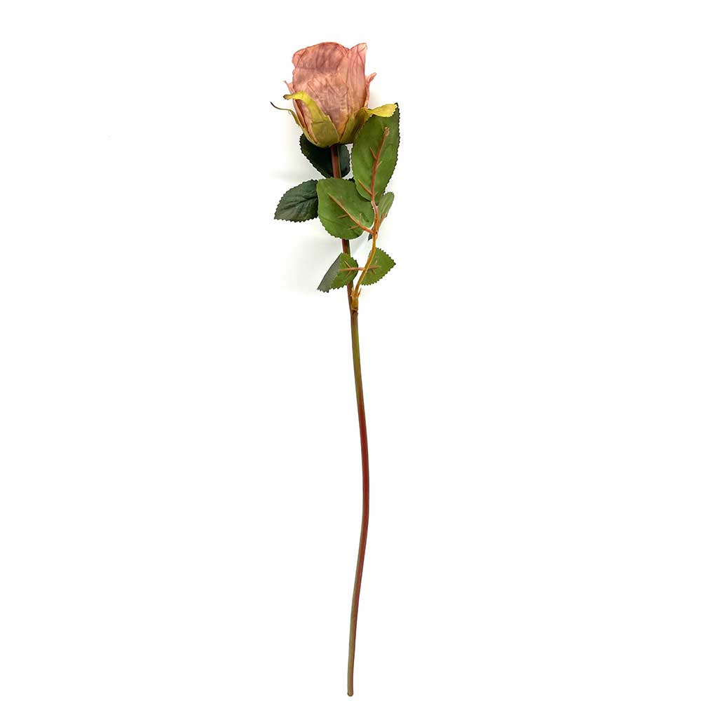MC22-04001 Rose Stem