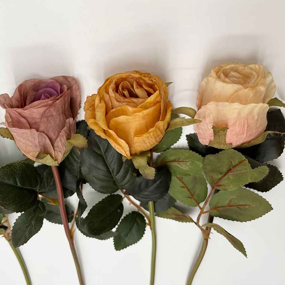 MC22-04001 Rose Stem