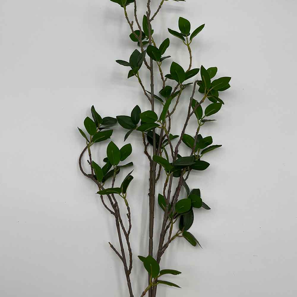 Leaves Stem Mix