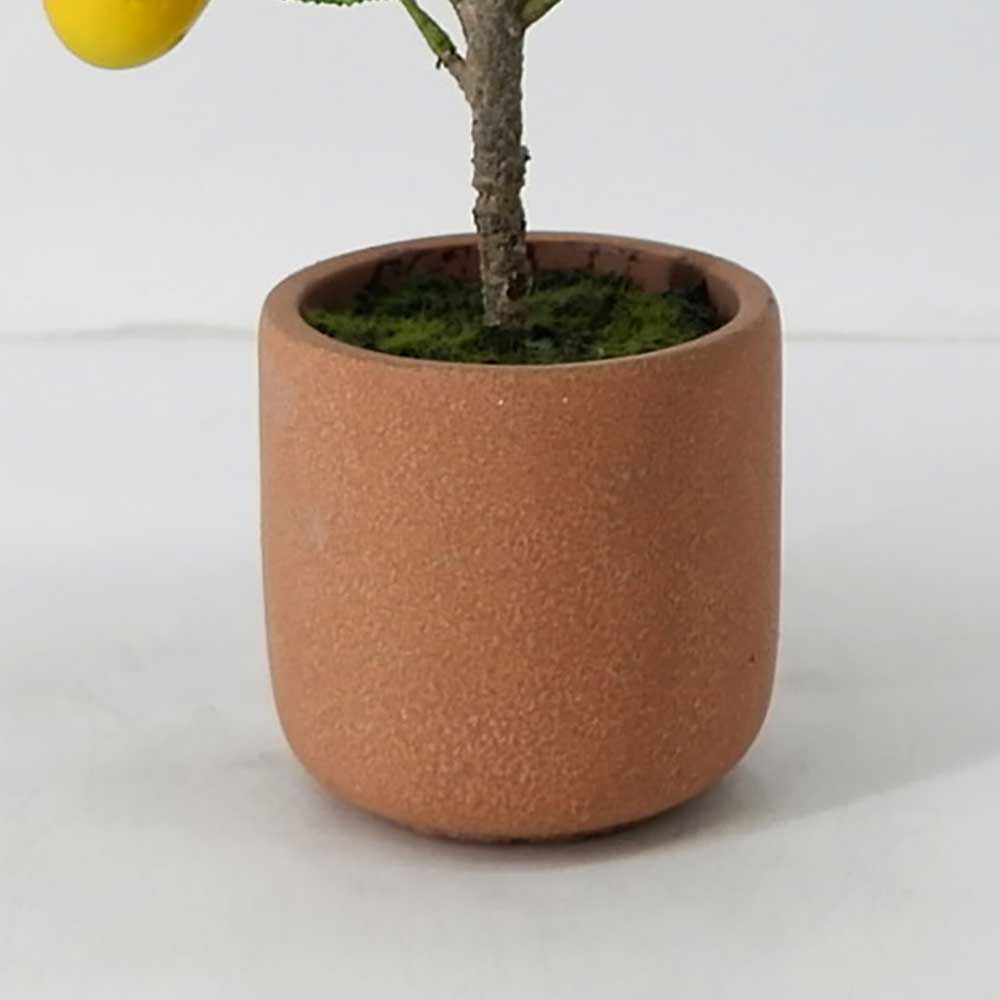 MC19-7925S Lemon tree