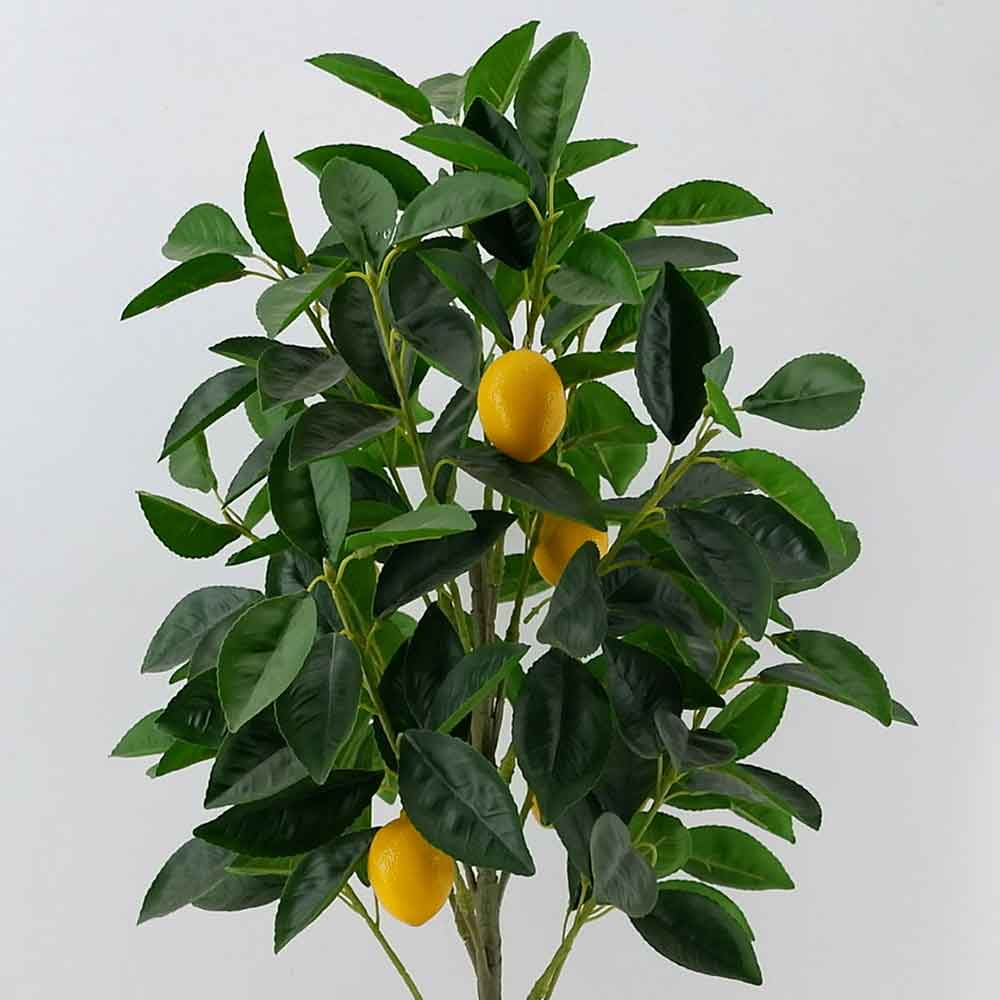 MC21-10655J Lemon tree