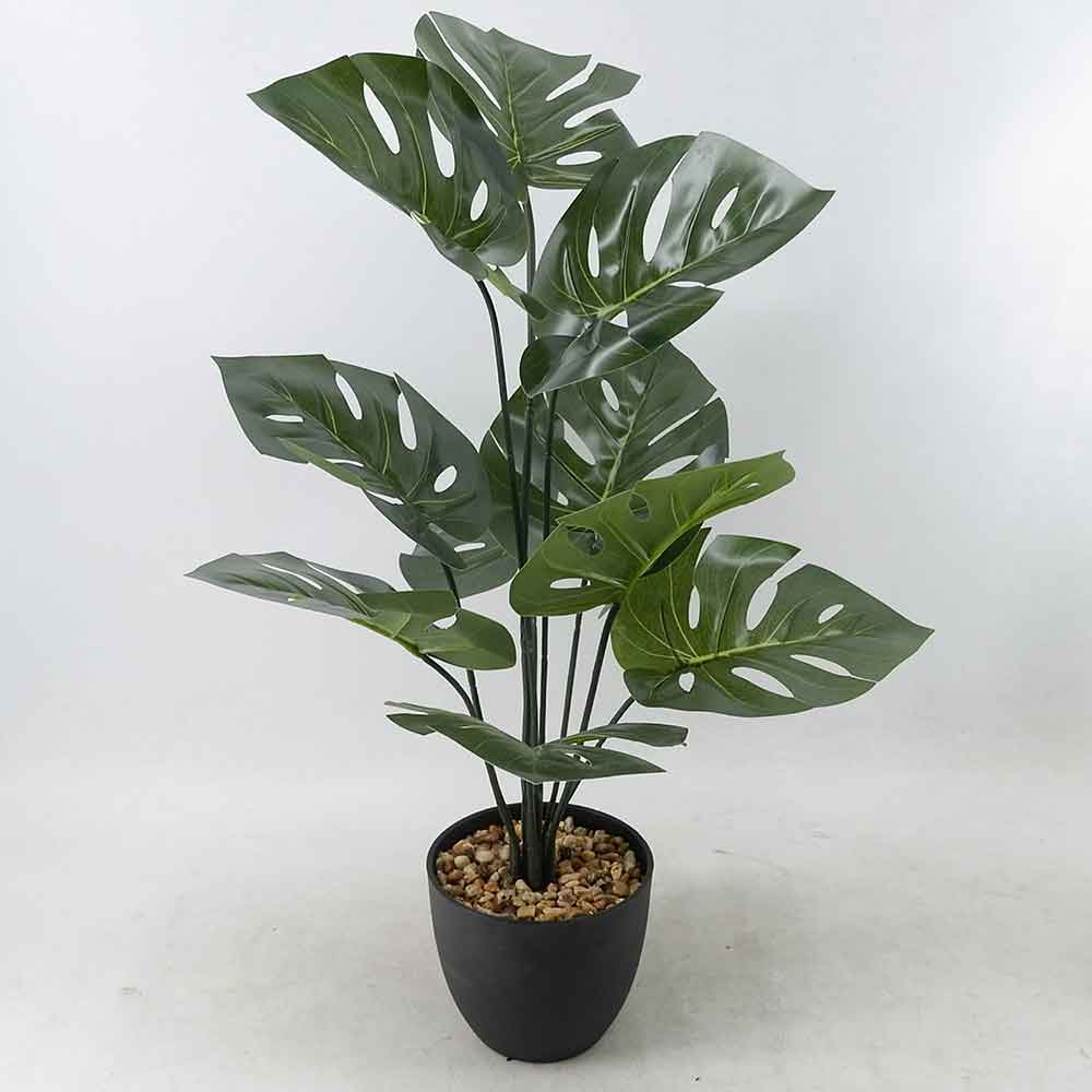 MC21-10506J Monstera