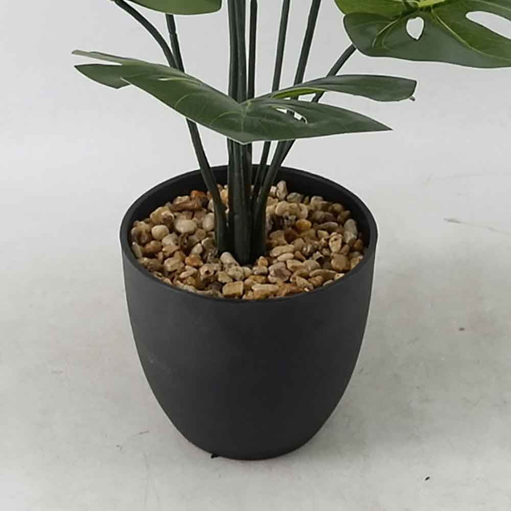 MC21-10506J Monstera