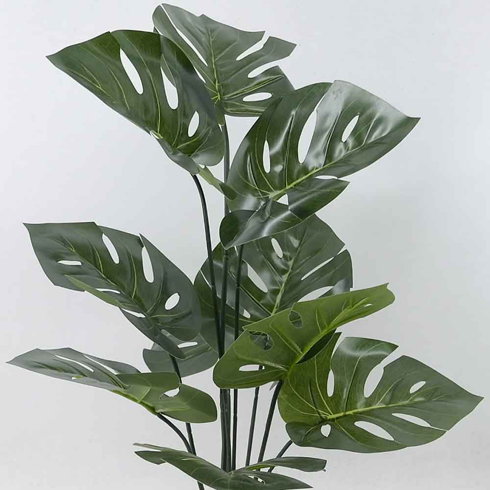 MC21-10506J Monstera