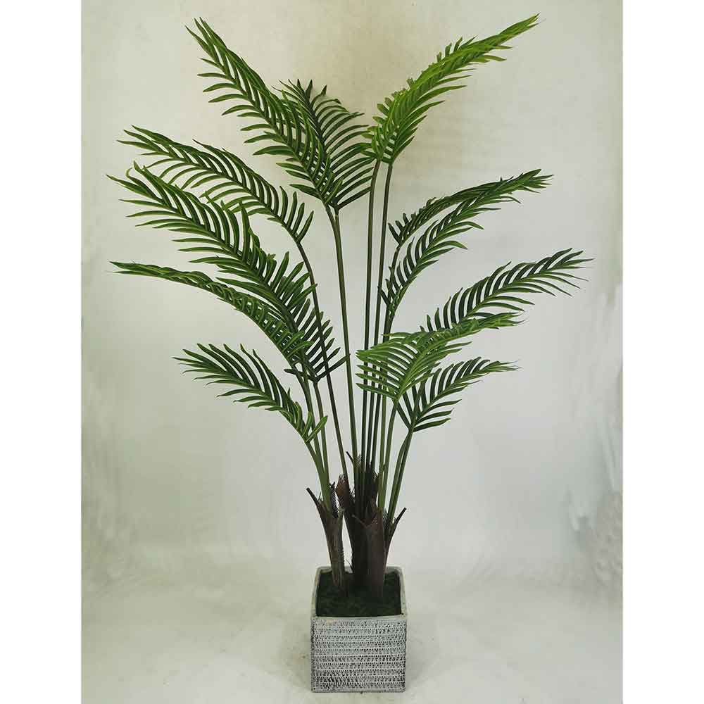 MC21-7998T Areca Palm
