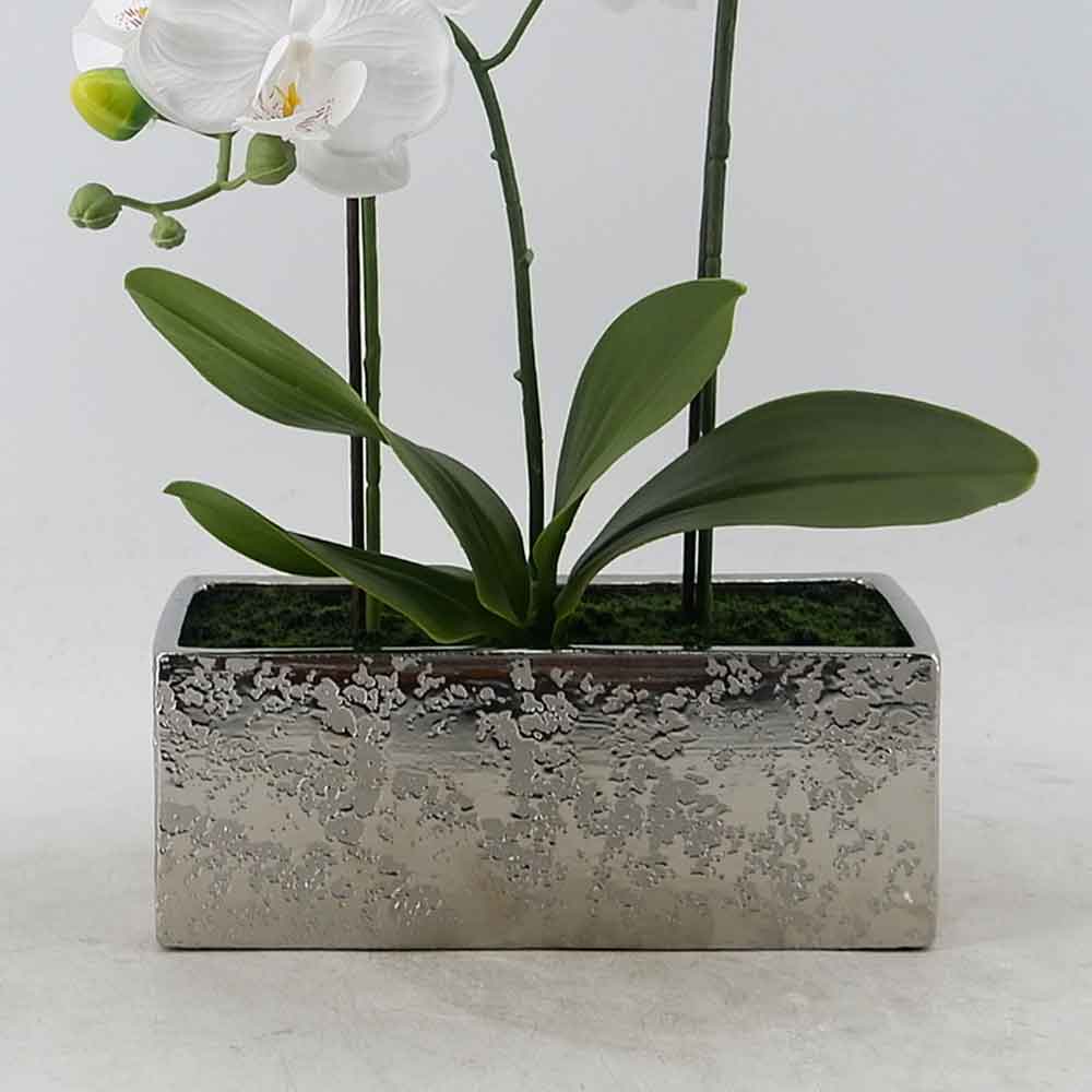 MC21-11212P Orchid