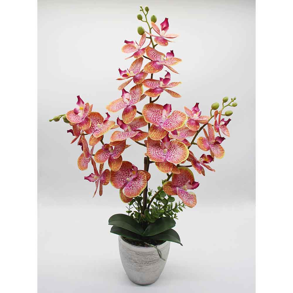 MC2870 Orchid