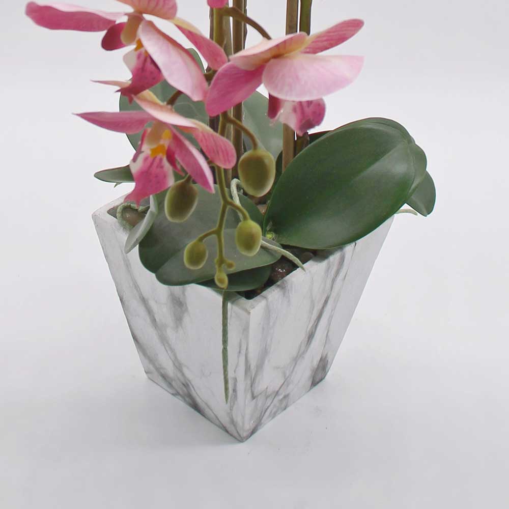 MC2875 Orchid