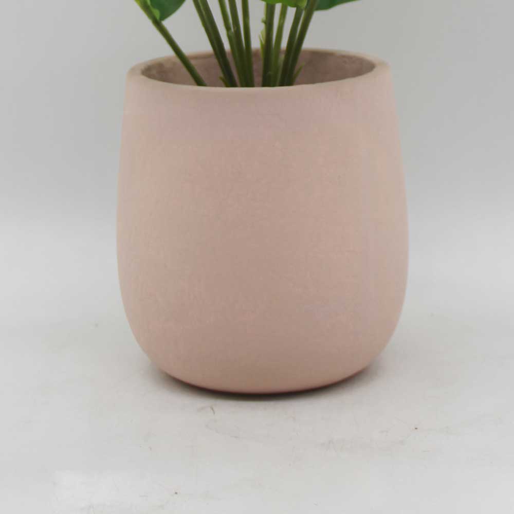 MC3427 Caladium