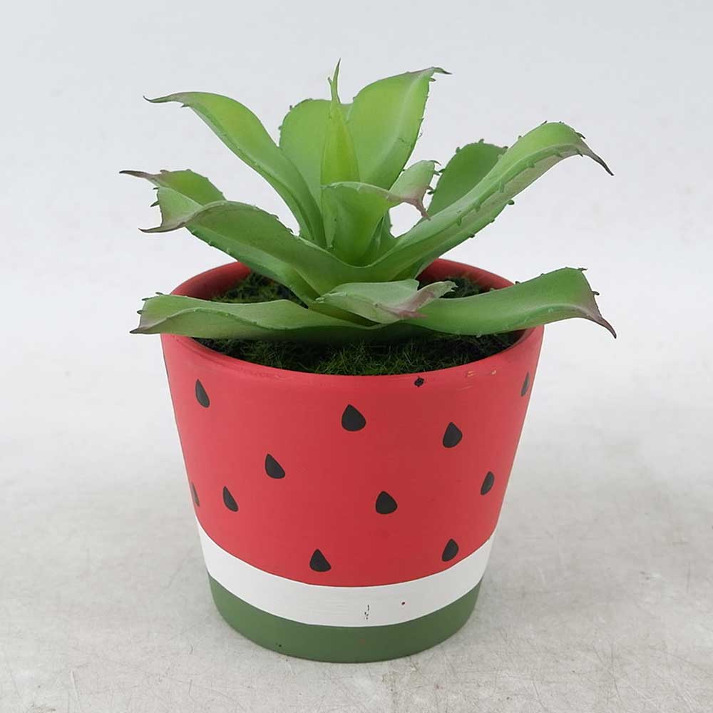 MC21-10837P Agave