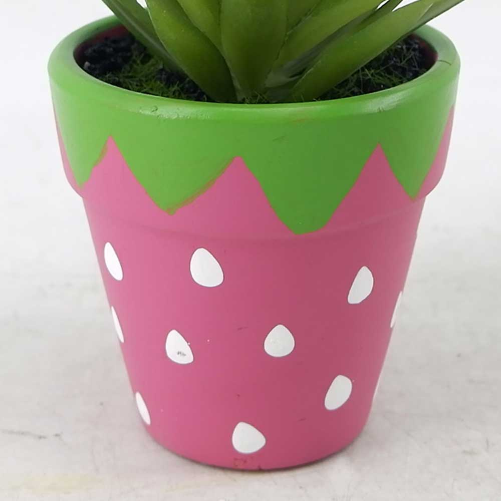 MC21-11285P Agave