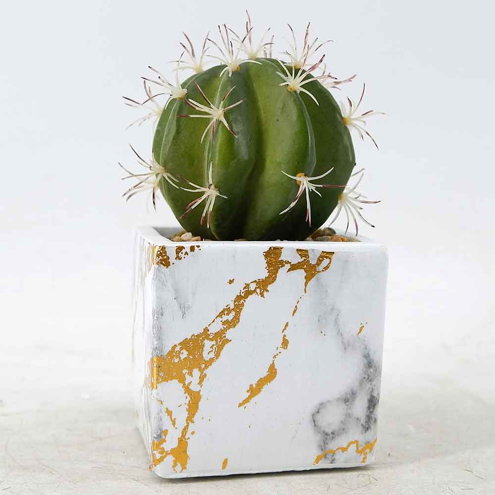 MC20-8784S Cactus