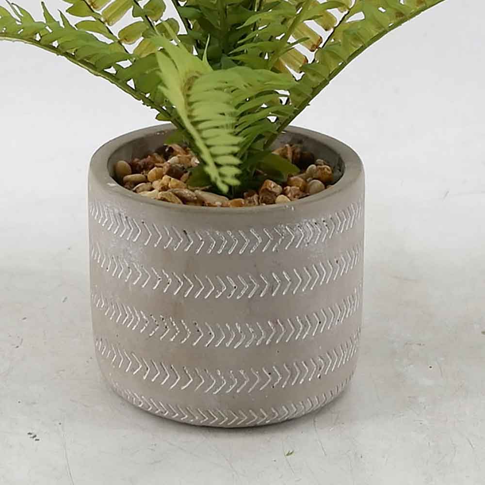 MC20-9214S Fern