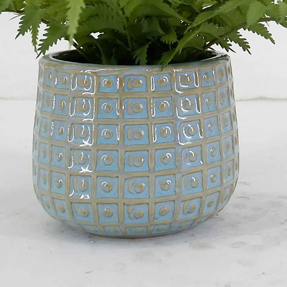 MC21-10929P Fern