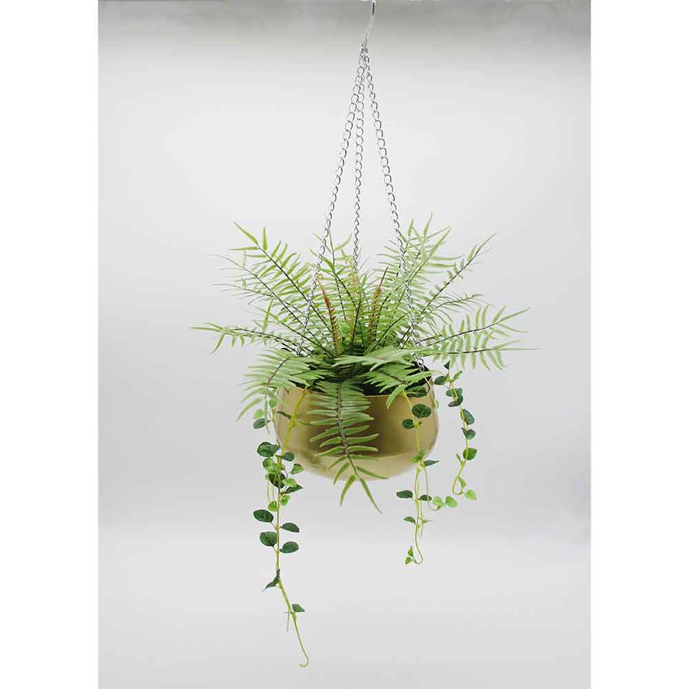 MC2883 Fern