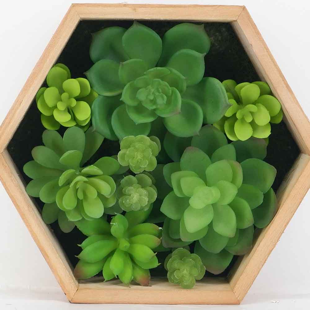 MC18-5723M-GR Mixed succulent