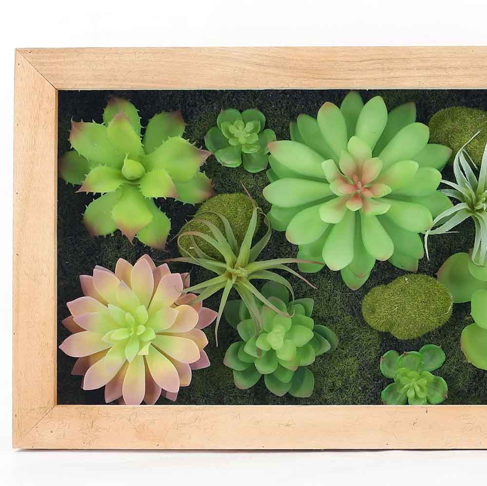 MC18-6224M Mixed succulent