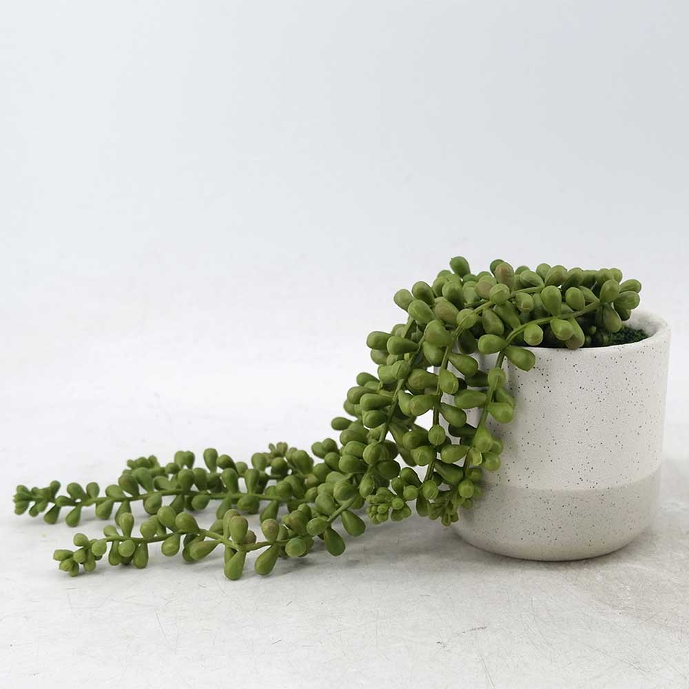 MC21-11351P String of pearls