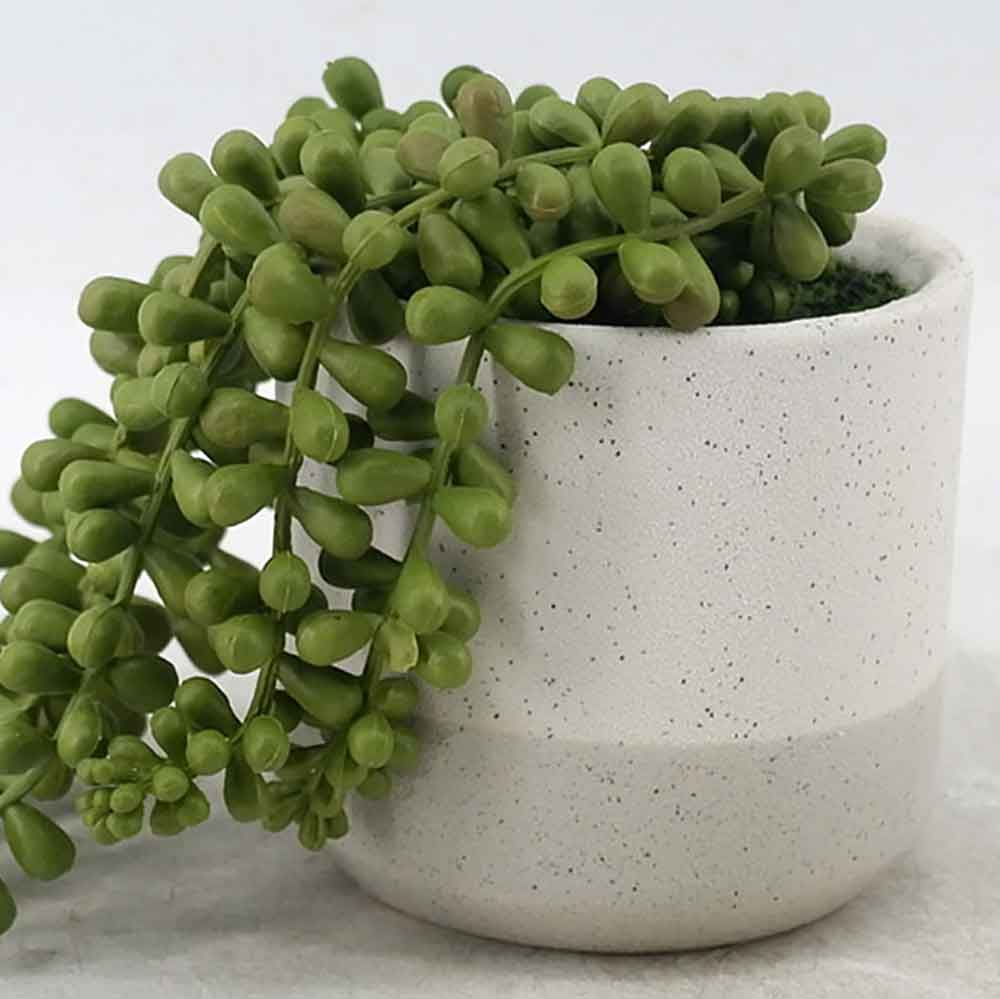 MC21-11351P String of pearls