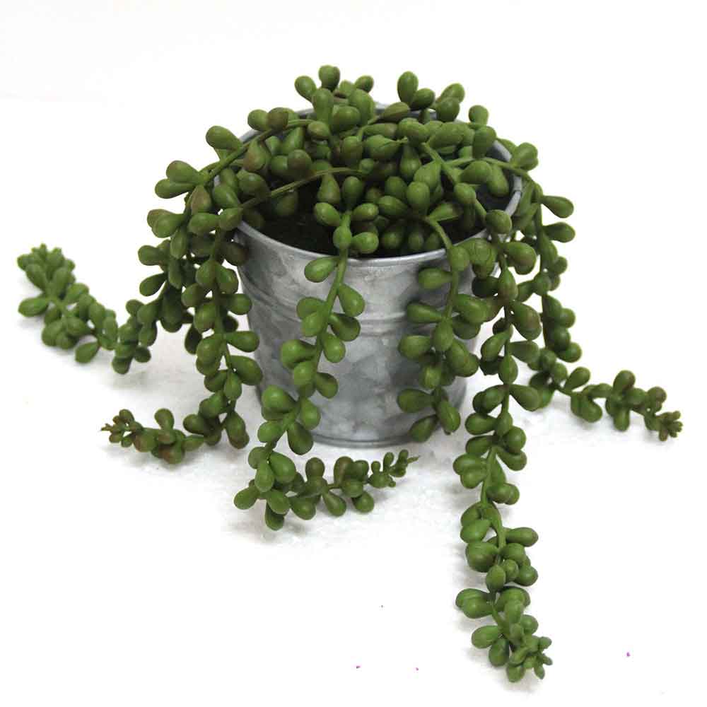 MC2638 String of pearls 