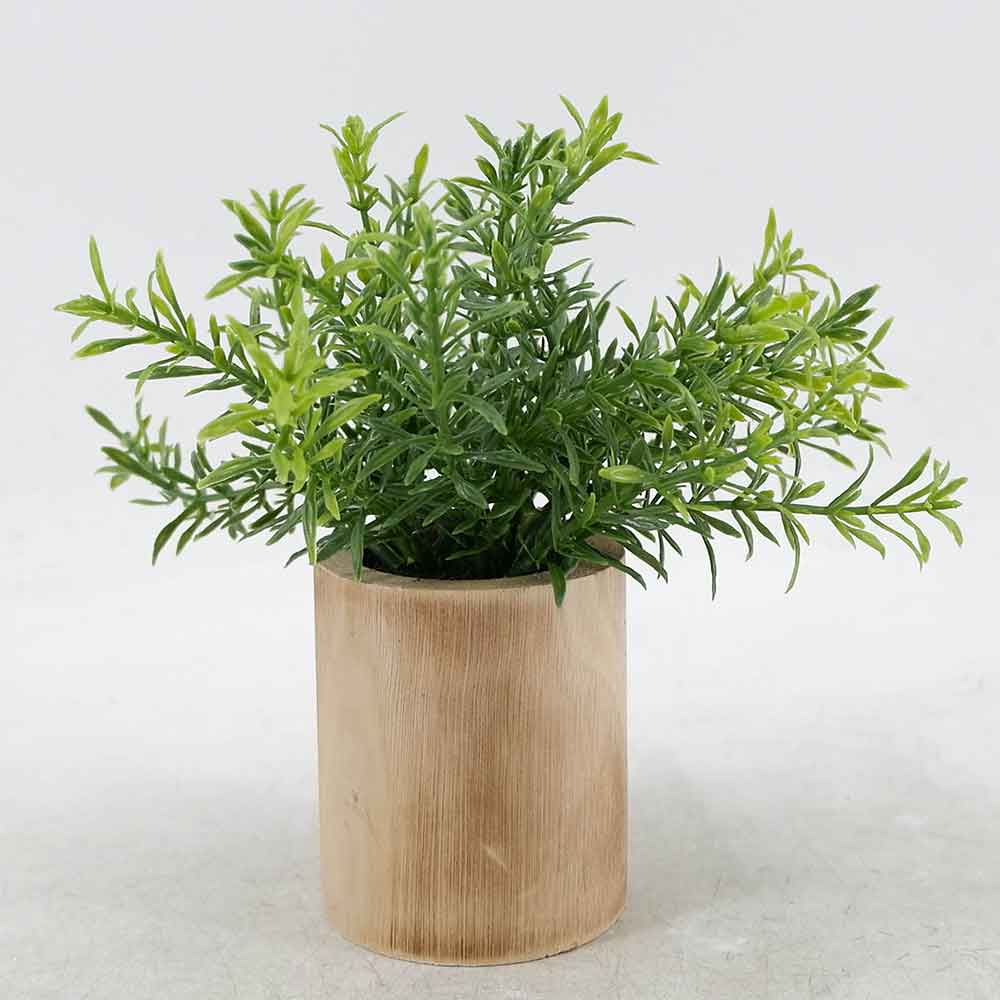 MC21-10131M Rosemary