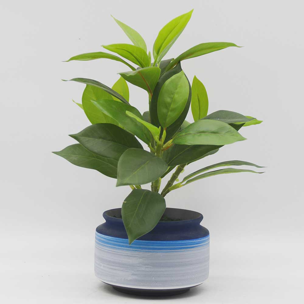 MC0140 Laurel