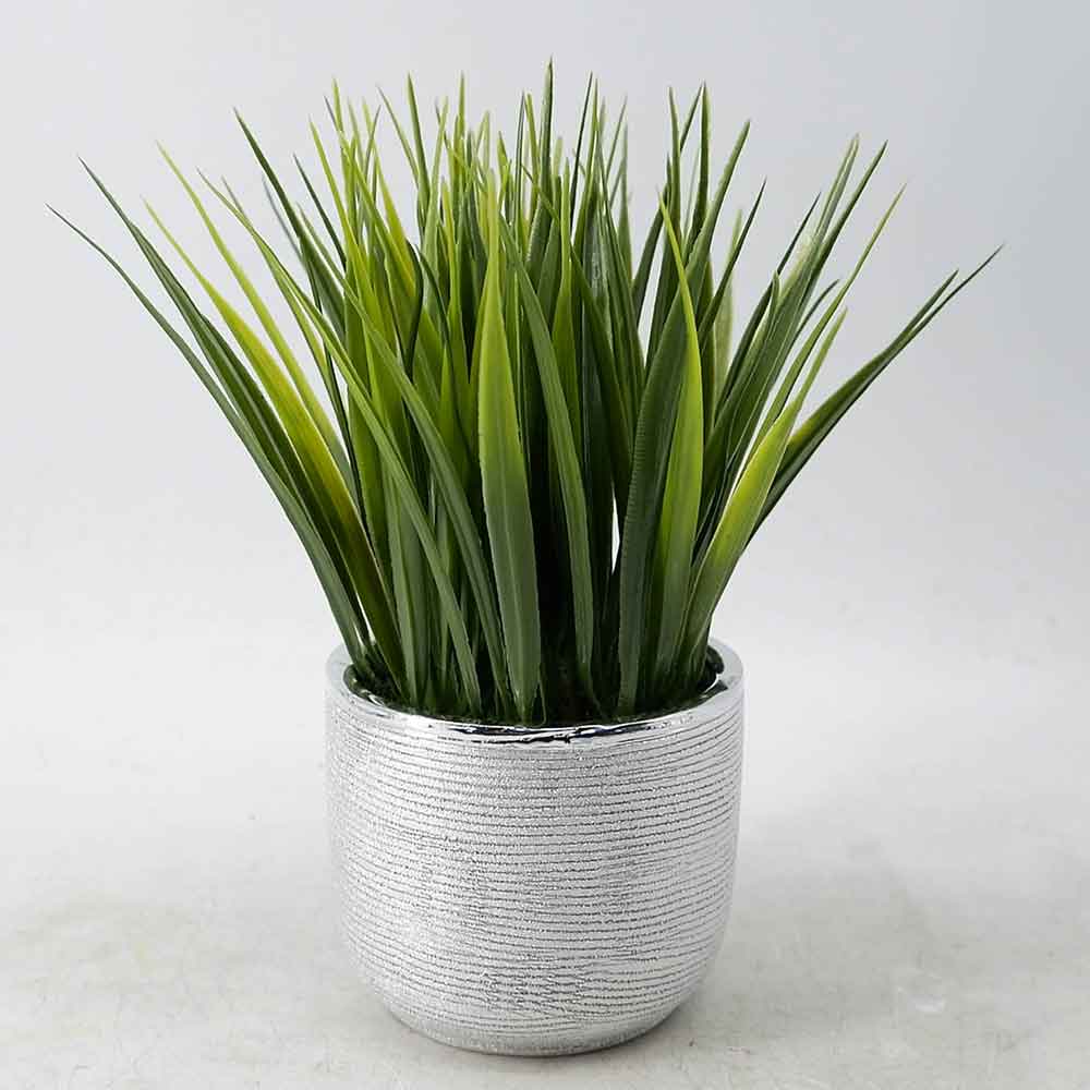 MC20-9709P Grass