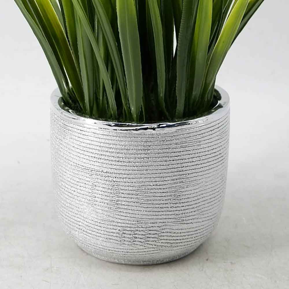 MC20-9709P Grass