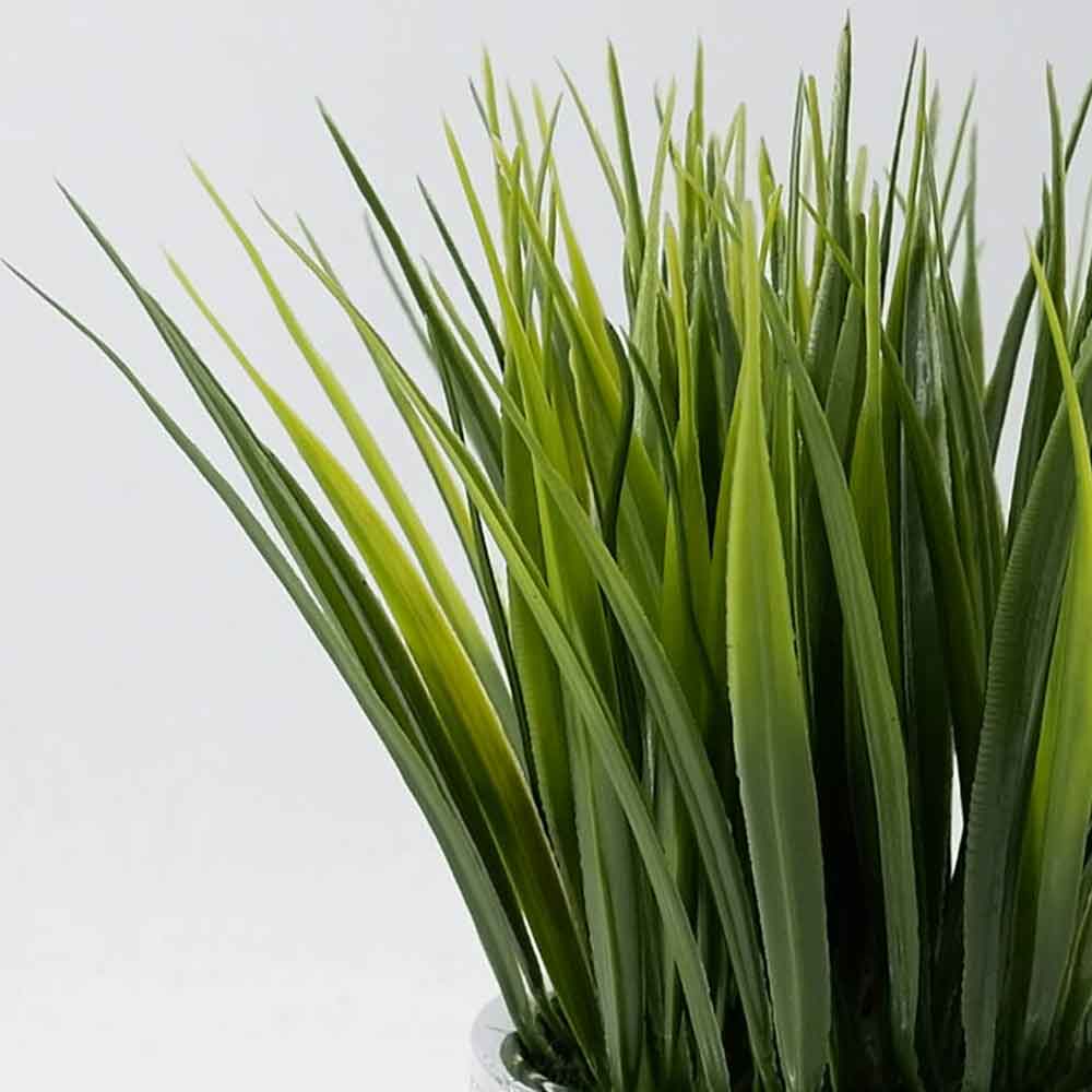 MC20-9709P Grass