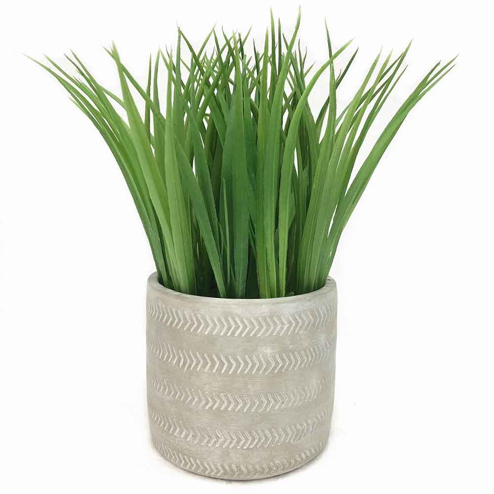 MC2302 Grass