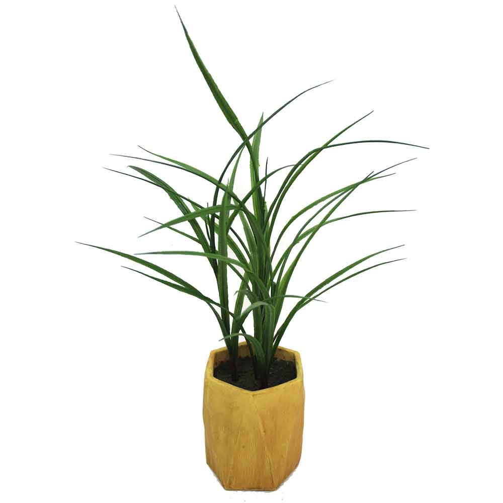 MC2480 Grass