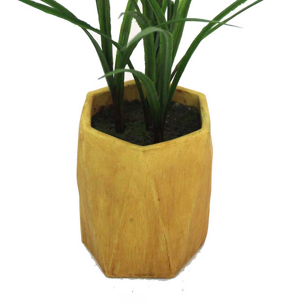 MC2480 Grass