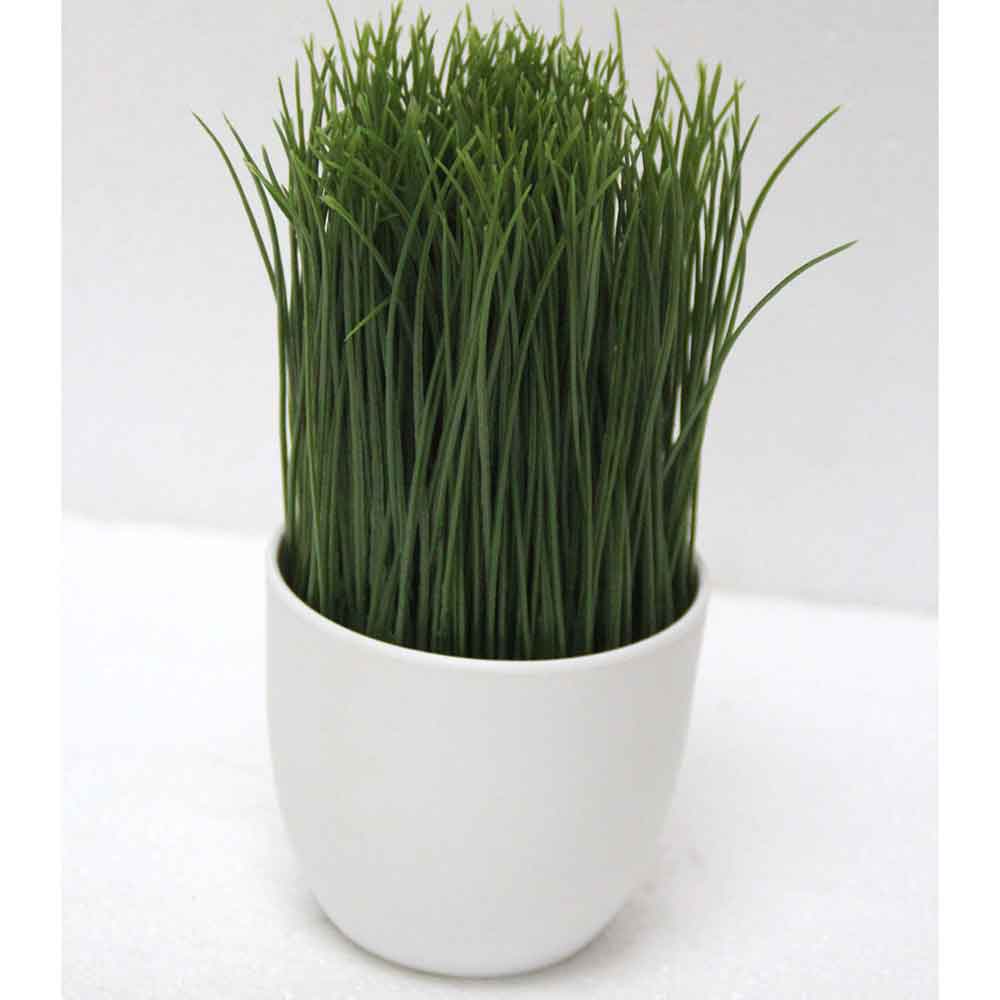 MC2551 Grass