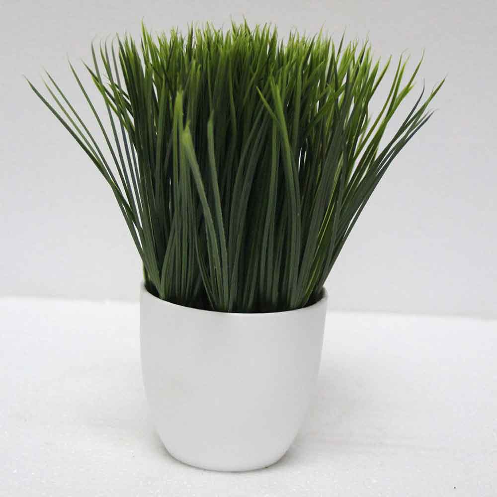 MC2554 Grass