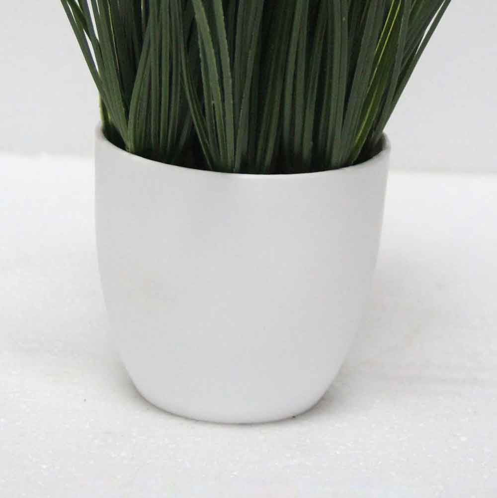 MC2554 Grass