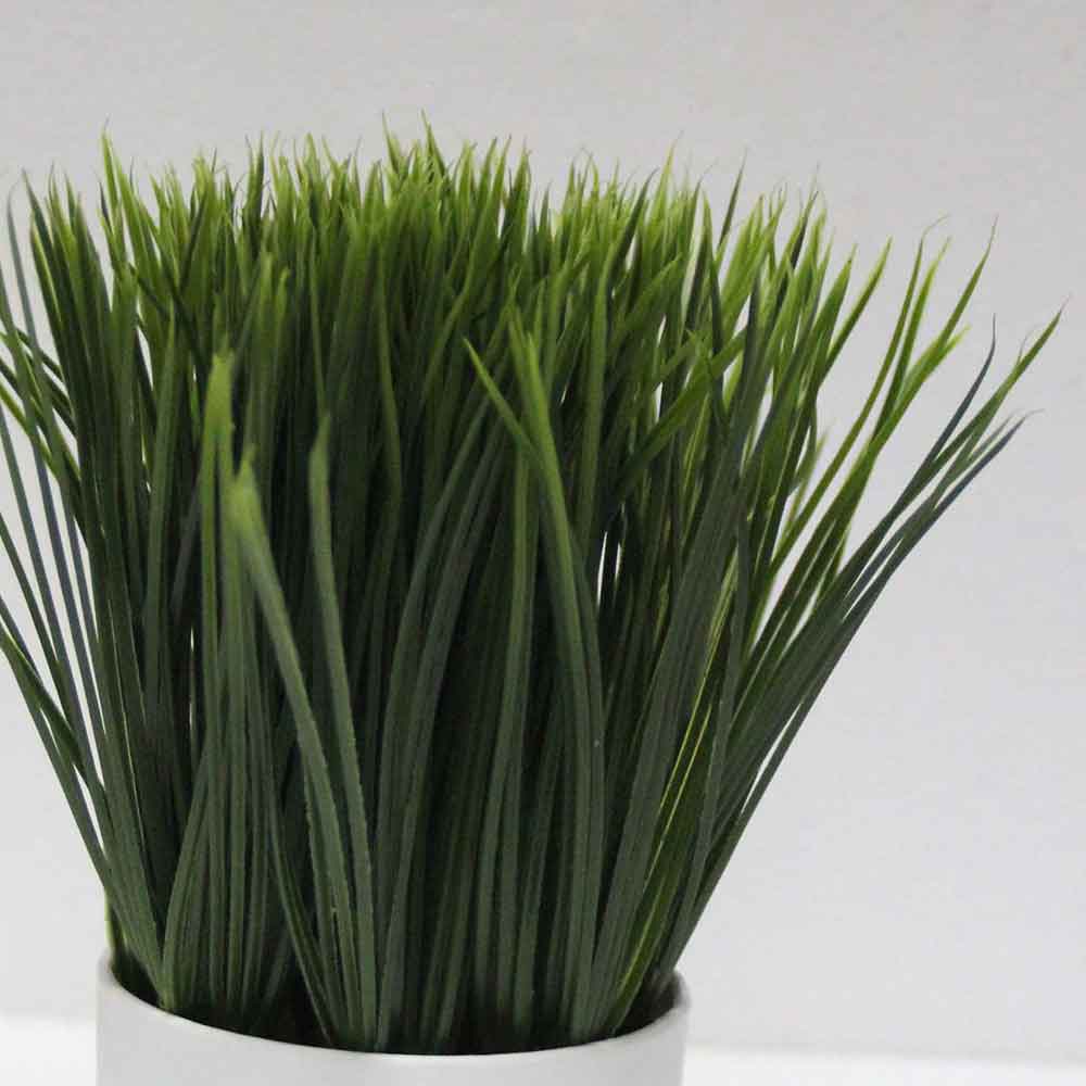 MC2554 Grass