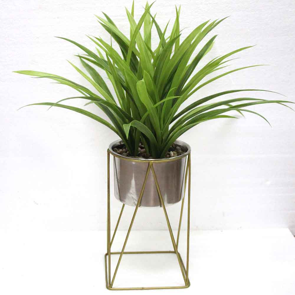 MC2605 Grass with Stand