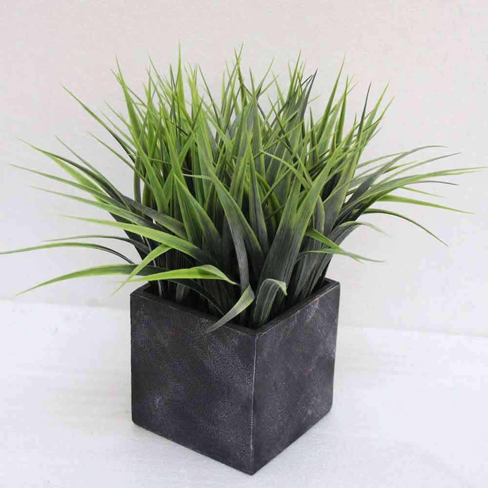 MC2615 Grass