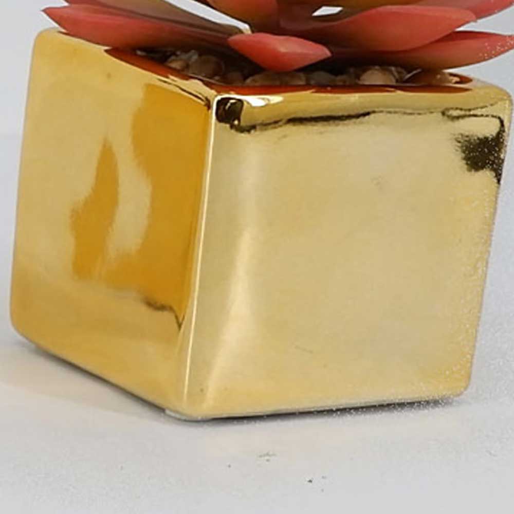 MC19-7867P Succulent Lotus